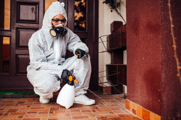 Reliable Bed Bug Control contractor in Balch Springs, TX by Nex Pest Control