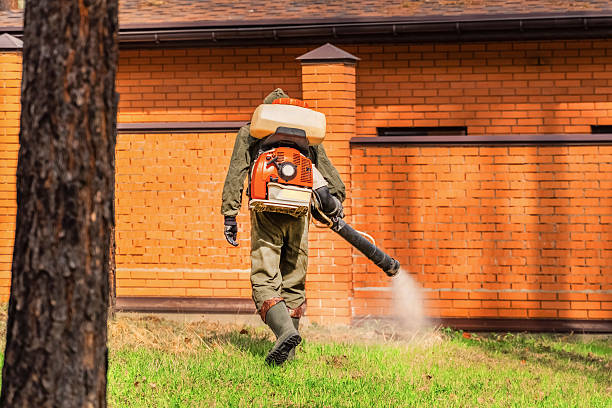 Trusted Emergency Pest Control service in Balch Springs, TX - Nex Pest Control